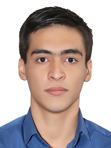 تصویر محمدرضا زارعی